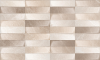 010100001418 Плитка Tibet beige wall 03 30x50