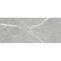 010100001532 Плитка Modello grey 04 25x60