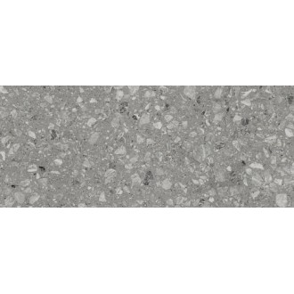 010100001544 Плитка Terrazzo grey 01 25х60
