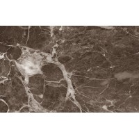 010100001557 Плитка Капелла коричневый низ 04 25x40