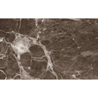 010100001557 Плитка Капелла коричневый низ 04 25x40