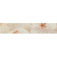 010212001777 Плитка Сакура коричневый бордюр 01 7,5х40