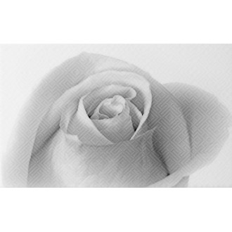 010301001884 Плитка Камелия чёрный декор 01 25х40