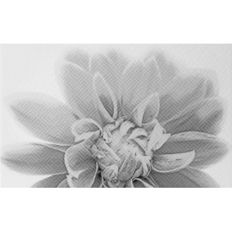 010301001886 Плитка Камелия чёрный декор 03 25х40