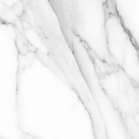 010400001266 Керамогранит Extra white белый PG 02 60х60