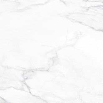 010400001268 Керамогранит Alpine white белый PG 01 60х60