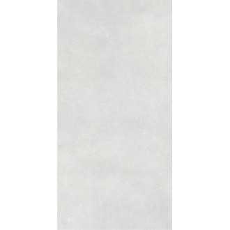 010400001369 Beton light grey PG 11 60х120