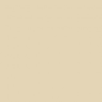 010404001787 Моноколор беж КГ 01 40х40