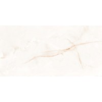017.869.0108.00283 Керамогранит ONIX WHITE compacglass Rect. 60x120