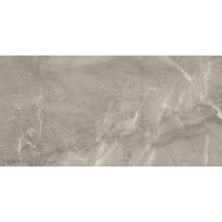 02585А SUPREME GREY NAT/RET 60X120