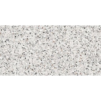 02657B Venetian Marble Rainbow Nat/Ret 8.5mm 60x120