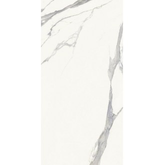 03901 MAJESTIC PURE SUPERB STATUARIO N/R 60x119,5