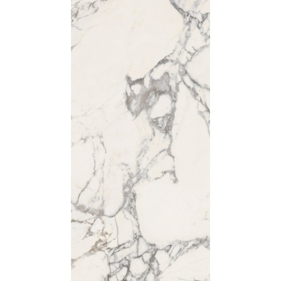  03902 MAJESTIC PURE GLORIOUS ARABESCATO N/R 60x119,5