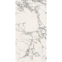 03906 MAJESTIC PURE GLORIOUS ARABESCATO L/R 60x119,5