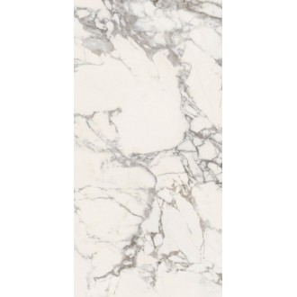03906 MAJESTIC PURE GLORIOUS ARABESCATO L/R 60x119,5