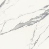 03912 MAJESTIC PURE SUPERB STATUARIO N/R 60x60