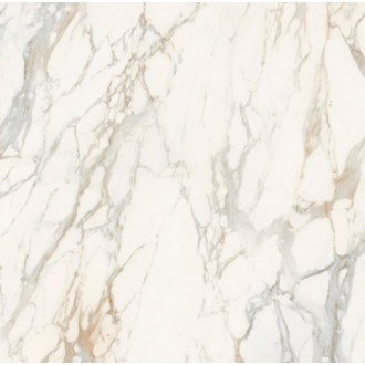 03919 MAJESTIC PURE MAGNIFICENT CALACATTA L/R 119,5x119,5