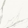 03921 MAJESTIC PURE SUPERB STATUARIO L/R 119,5x119,5