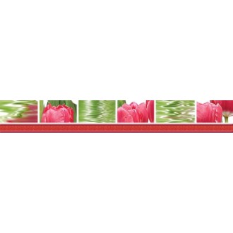 05-01-1-77-05-47-160-0 Плитка Бордюр Тюльпаны 50х7