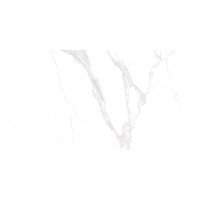 08-00-00-2465 Statuario белый 20х40