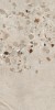 0SC623R I Cocci Siciliani Grigio Nat Rett 60,4x120,8