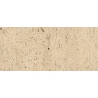 1-20-00 Подступенок