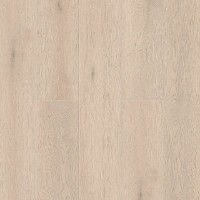 1001-05 ALANTE 1220×183