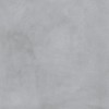 1001 Thor Grey LPR 100*100