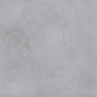 1001 Thor Grey LPR 100*100