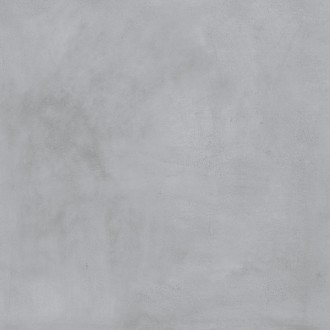 1001 Thor Grey LPR 100*100