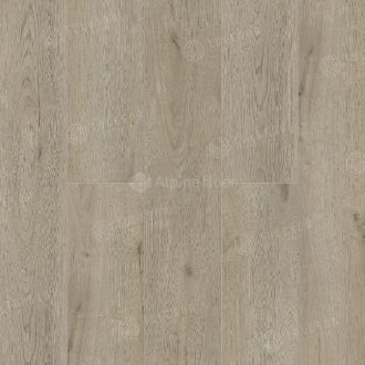 1002-11 Agny 1220×183