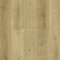 1002-15 Wieland 1220×183