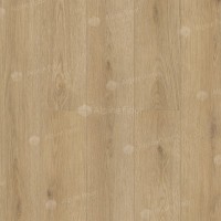 1002-7 Toti 1220×183