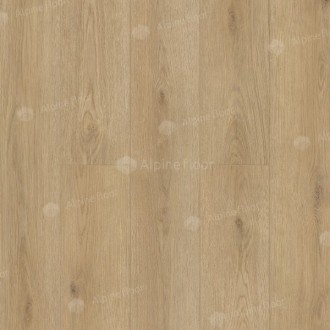 1002-7 Toti 1220×183