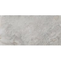 100202669 Керамогранит Image Silver 59.6x120
