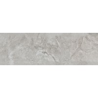 100257941 Керамогранит Image Silver 50x150