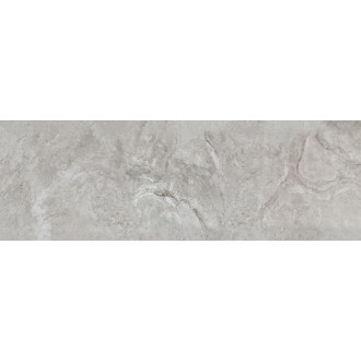 100257941 Керамогранит Image Silver 50x150