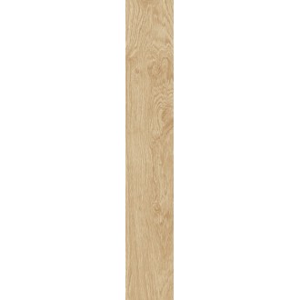 100287897 P18803801 Oxford Natural 19.3x120