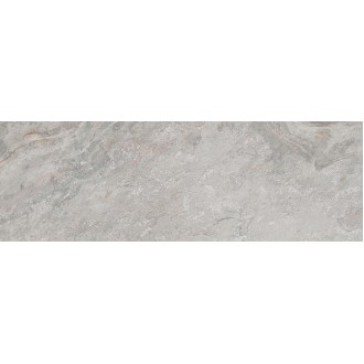 100295171 Плитка Image Silver 33.3x100