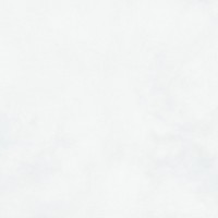 1002 Thor White LPR 100*100