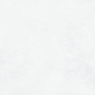 1002 Thor White LPR 100*100