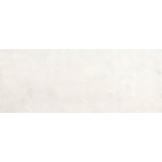 100304564 Steel Bone 59.6x150