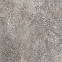 100305811 Elegant Grey Pulido 120x120