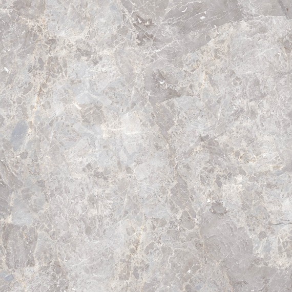 Керамогранит 100305826 Elegant Bone Pulido 120x120