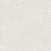 100305829 Treviso Blanco Lap 120x120