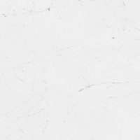 100306275 Керамогранит Fontana Matt L 120x120