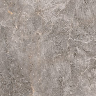 100307765 Elegant Grey polished 59.6x59.6