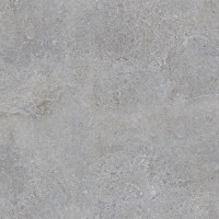 100310608 Hannover Silver 59,6x59,6