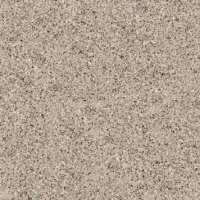 100310851 Treviso Arena 8mm 120x120