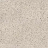 100310872 Treviso Beige 8mm 120x120